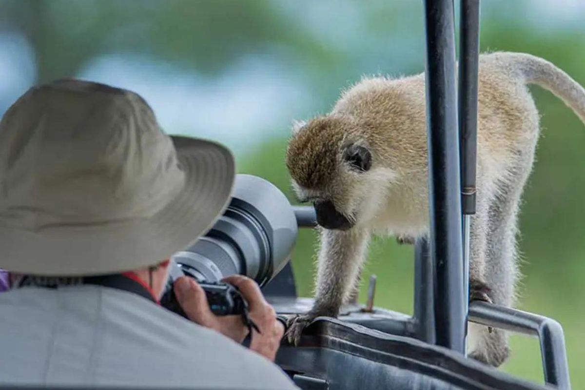 11 Days Tanzania Photographic safari