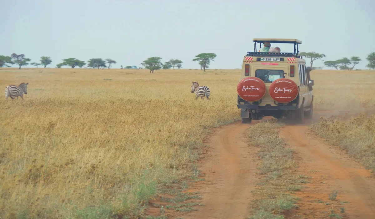 Seko Tours At Serengeti National Park