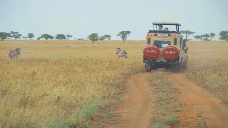 Seko Tours At Serengeti National Park