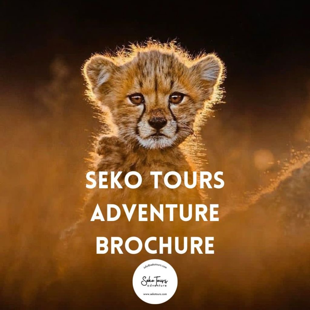 Seko Tours Brochure | Tanzania Safari Brochure