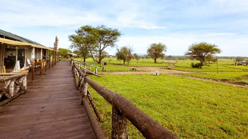 Serengeti Tanzania bush camp | Serengeti National Park Safaris
