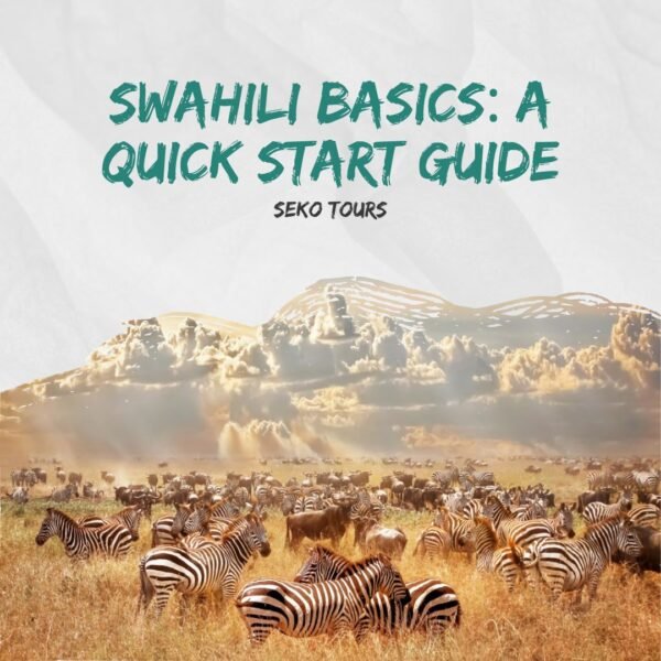 Swahili Basics