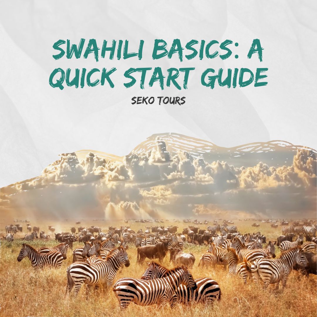 You are currently viewing Swahili Basics: A Quick Start Guide