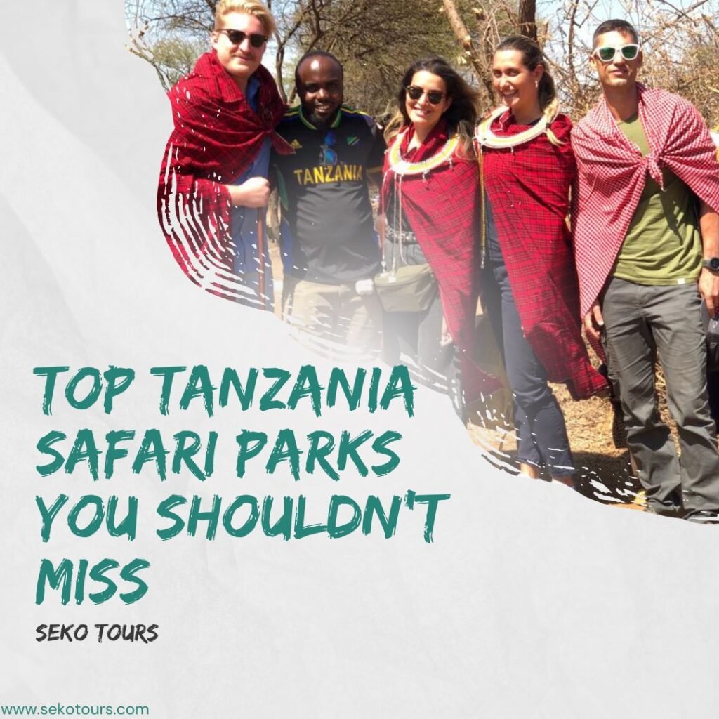 Top Tanzania Safari Parks You Shouldn’t Miss