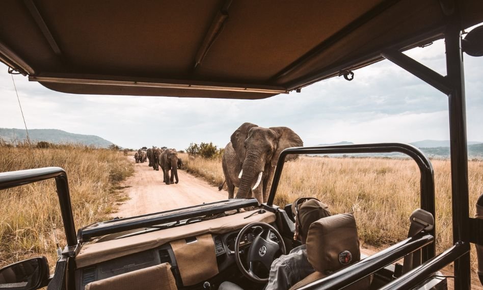 Flexibility in booking tanzania safari | Seko Tours