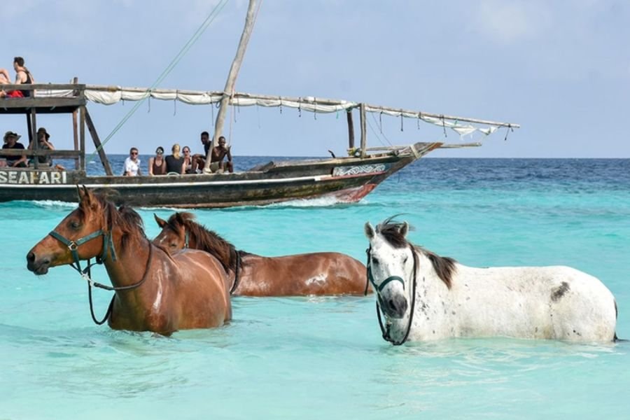 Horse Riding in Zanzibar | Seko Tours Adventures