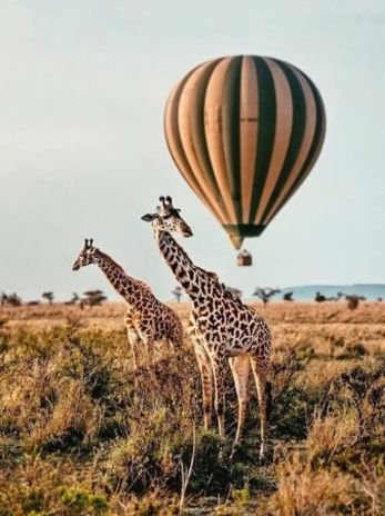 Serengeti Balloon Safari experiences