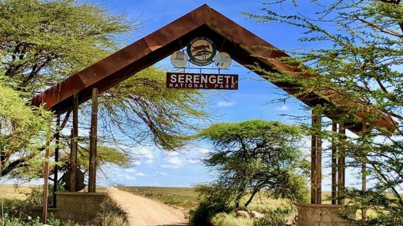 Serengeti National Park Entrance Fee | Seko Tours Adventures