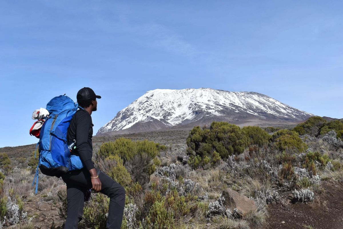 7 Days Kilimanjaro Lemosho Rout | Seko Tours Adventures Tanzania Safari
