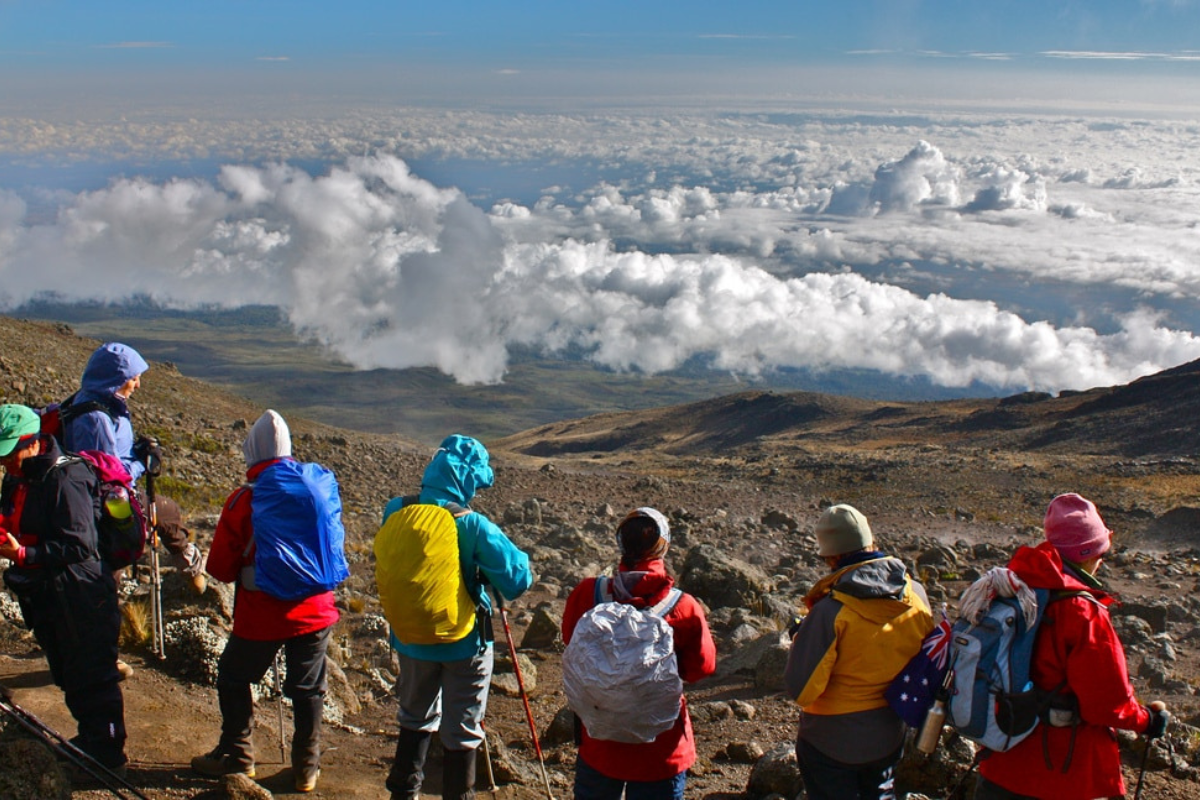 8 days climbing Kilimanjaro – Lemosho Route Seko Tours Adventures Tanzania Safari