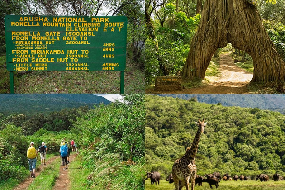 Arusha National Park | Northern Circuit Tanzania Destinations | Seko Tours Adventures