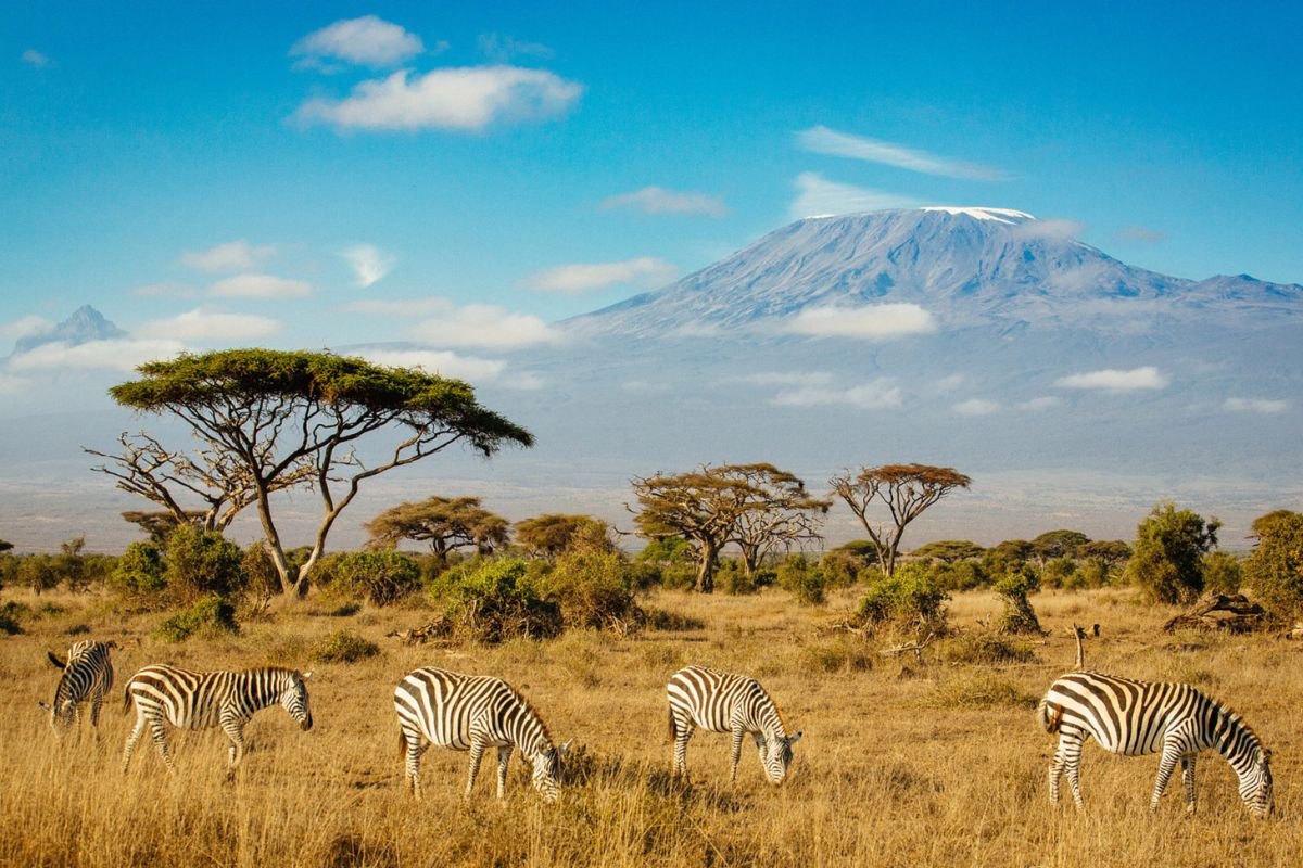 Kilimanjaro National Park | Northern Circuit Tanzania Destinations | Seko Tours Adventures