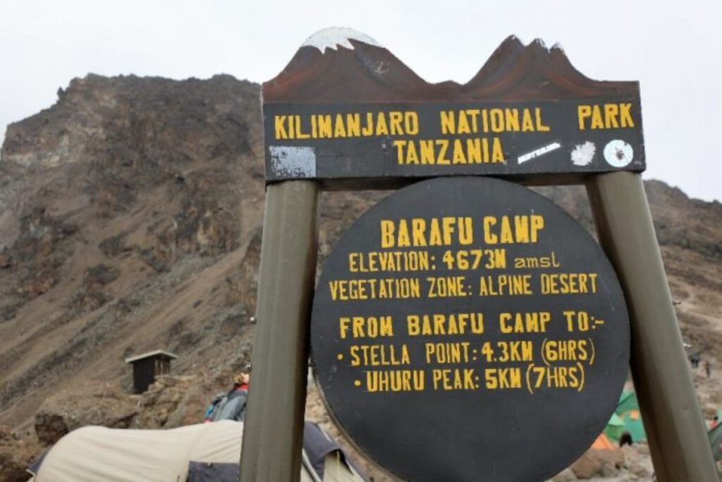 Barafu Camp to Summit to Mweka Hut | Seko Tours Adventures | Mount Kilimanjaro Hiking | Tanzania Safari