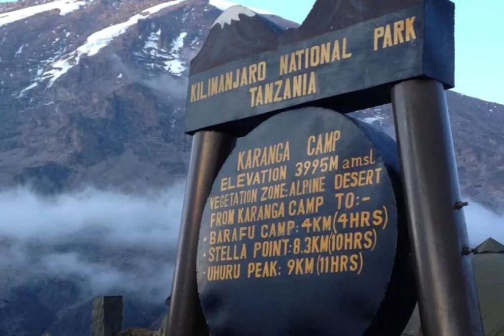 Barranco Camp to Karanga Camp | Seko Tours Adventures | Mount Kilimanjaro Hiking | Tanzania Safari