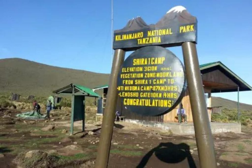 Forest Camp to Shira Camp 1 | Seko Tours Adventures | Mount Kilimanjaro Hiking | Tanzania Safari