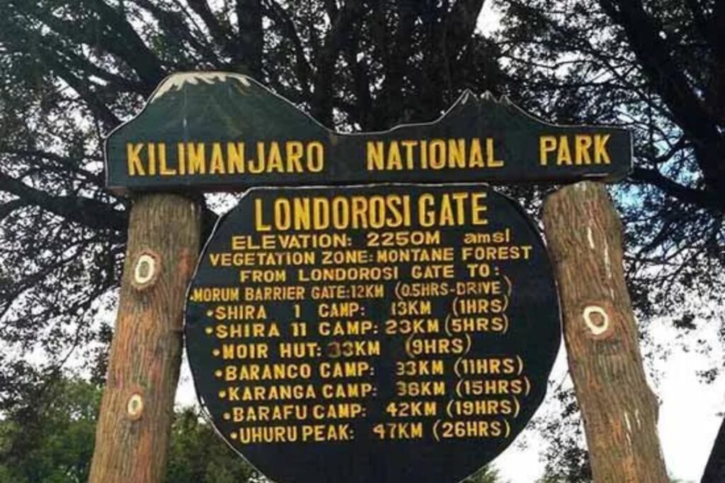 Londorossi Gate to Forest Camp | Seko Tours Adventures | Mount Kilimanjaro Hiking | Tanzania Safari