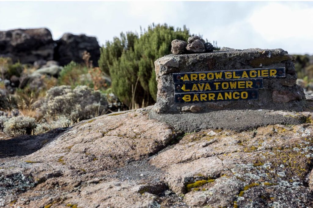 Moir Hut to Lava Tower to Barranco Camp | Seko Tours Adventures | Mount Kilimanjaro Hiking | Tanzania Safari
