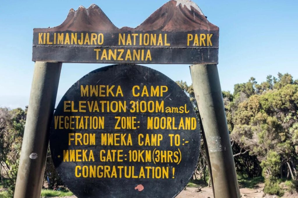 Mweka Camp to Moshi | Seko Tours Adventures | Mount Kilimanjaro Hiking | Tanzania Safari