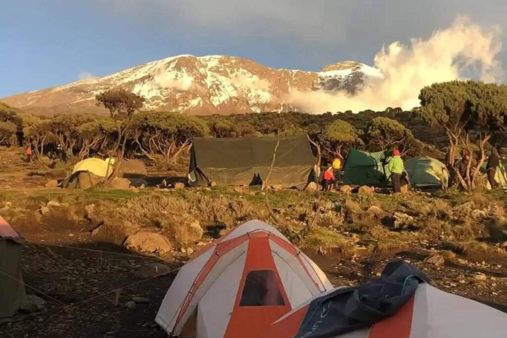Shira 2 Camp to Barranco Camp | Seko Tours Adventures | Kilimanjaro Packages