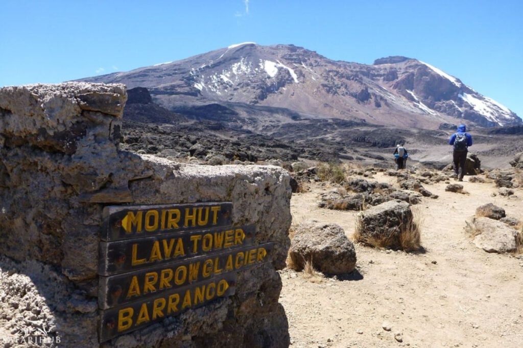 Shira Camp 1 to Shira 2 to Moir Hut | Seko Tours Adventures | Mount Kilimanjaro Hiking | Tanzania Safari