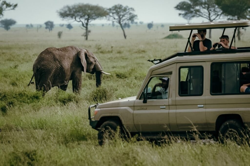 Family safari activities in Nyerere National Park (formerly Selous) | Seko Tours Adventures