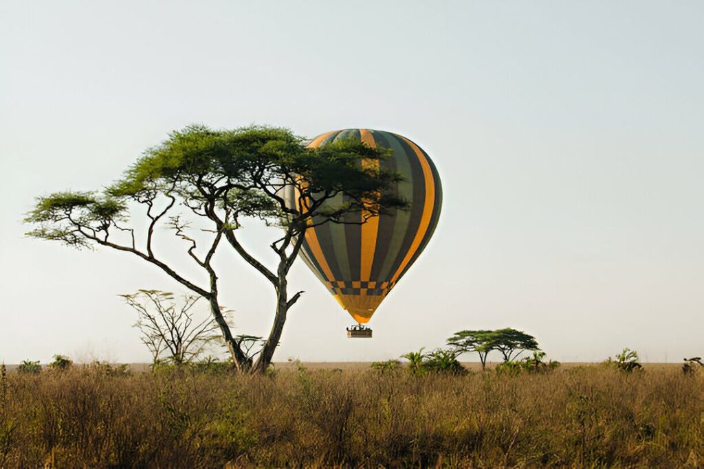 Balloon Safaris in the Serengeti | Seko Tours Adventures