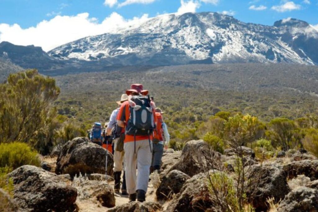 How To Get To Mount Kilimanjaro | Seko Tours Adventures