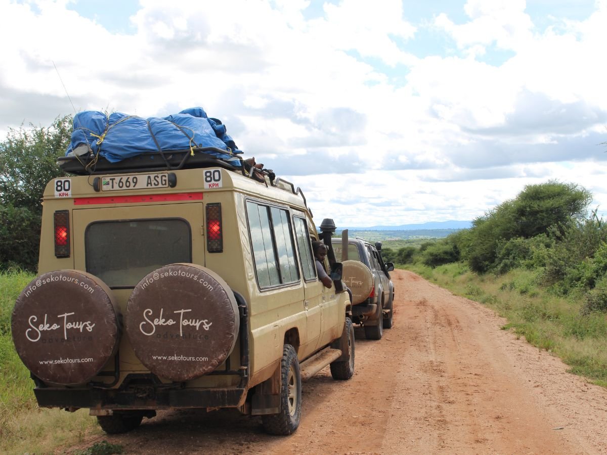 Local Tanzanian Safari Expertise | Seko Tours Adventures