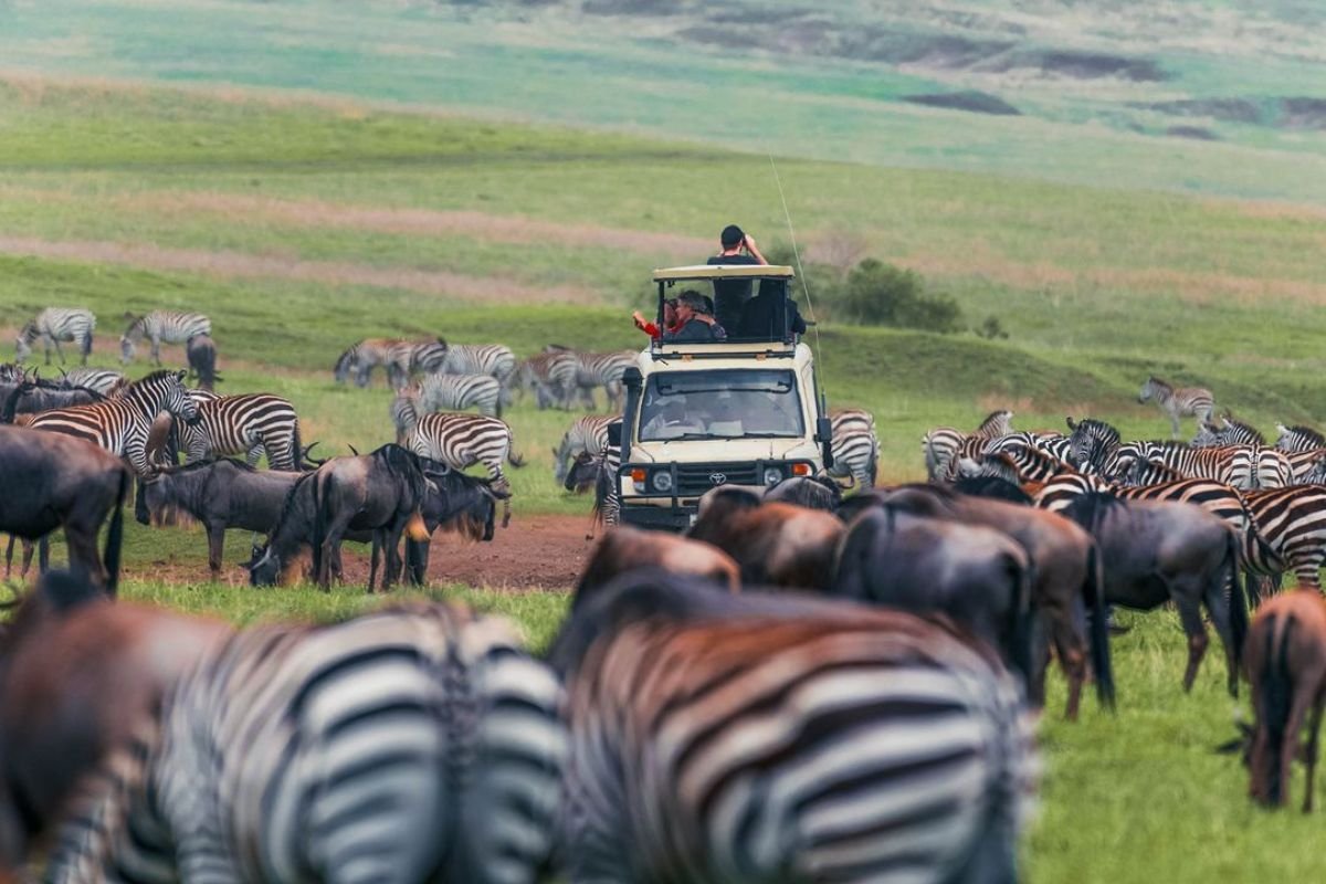 10 Days Great Wildebeest Mara River Crossing | Seko Tours Adventures