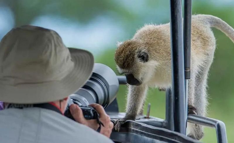 11 Days Tanzania Photographic safari | Seko Tours Adventures