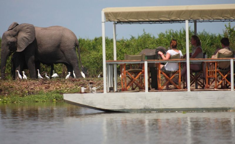 Boat Safaris In Tanzania | Seko Tours Adventures