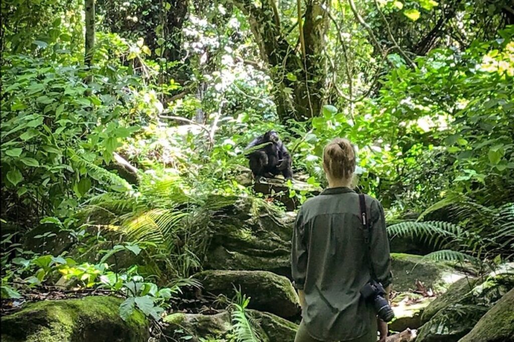 Hiking in Mahale National Park | Seko Tours Adventures