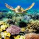 World’s richest coral reefs | Seko Tours Adventure