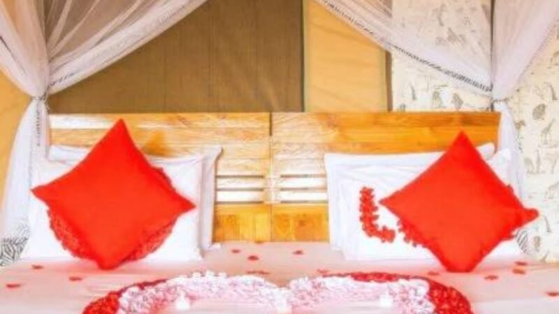 Tukaone Serengeti Camp Accomodation | Tanzania Safari Hotel | Seko Tours