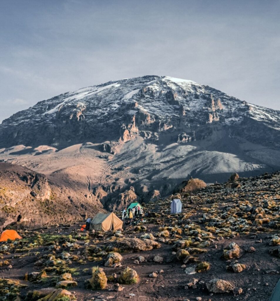 Which Kilimanjaro route has the highest summit success rate?