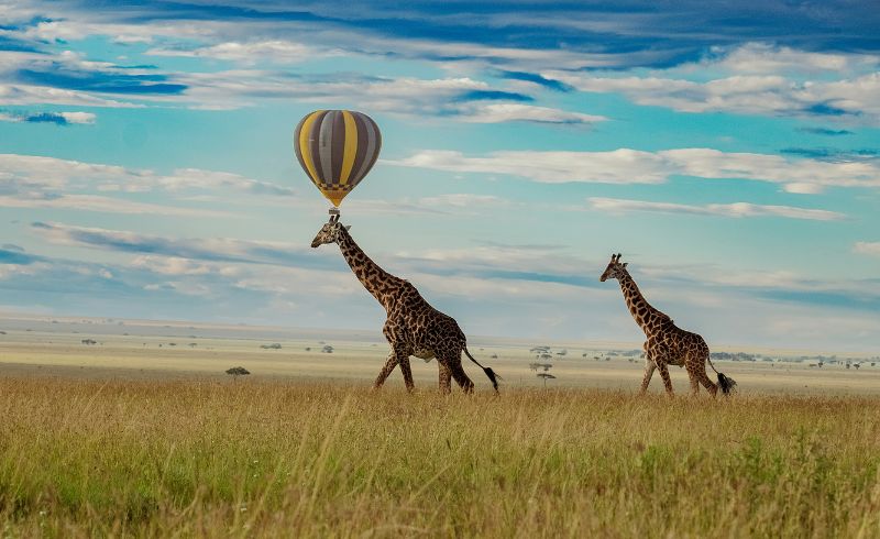 Hot air balloon flights in Serengeti National Park |  4 Days Hot Air Balloon Safari In Tanzania