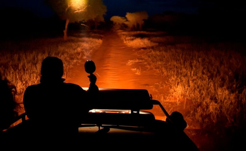 Night Drive | Seko Tours Adventures