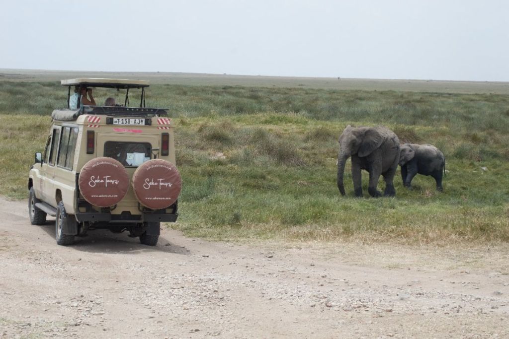 Tarangire National Park Photos