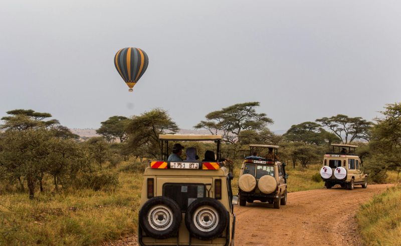 Game Drive Safaris in Tanzania | Seko Tours Adventures