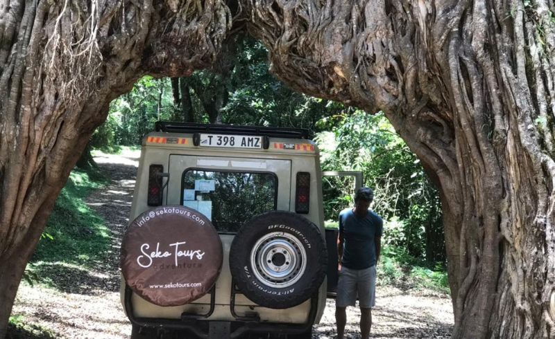 Arusha National Park - safari Tanzania l Seko Tours Adventures