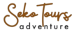 logo removebg preview