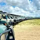 3 Days Tanzania Budget Safari Itinerary – Get a Free Tanzania Safari Quote 3 Days Tanzania Budget Safari Itinerary - Get a Free Tanzania Safari Quote