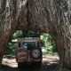 Day trip to Arusha National Park | One Day Safari to Arusha National Park Day trip to Arusha National Park | One Day Safari to Arusha National Park