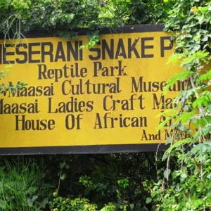Meserani Snake Park