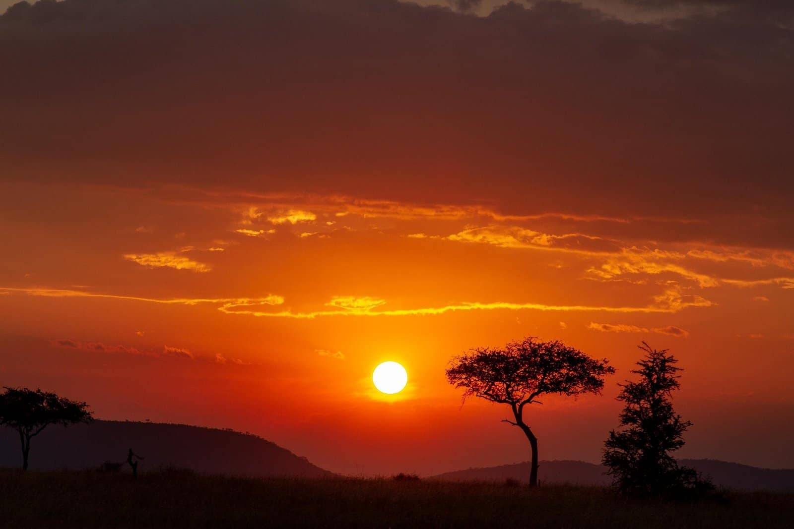 patrickgregerson africa 6940244 1920