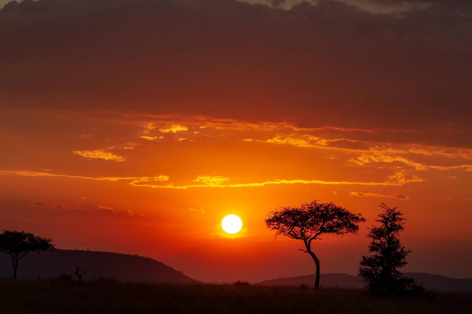 patrickgregerson africa 6940244 1920